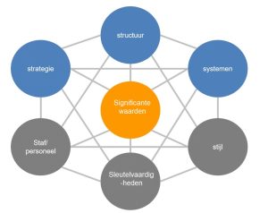 Een afbeelding van het 7S model dat een veel gebruikt wordt bij interne analyse modellen