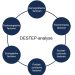 DESTEP analyse